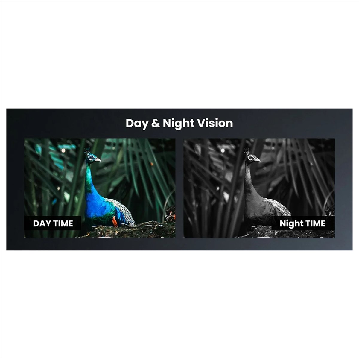 Y60A NEW-Night Vision Scope fo - đánh giá và giá Night Vision Scope For Crossbow